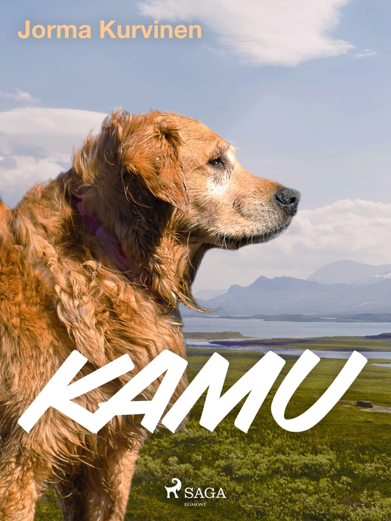 Kamu