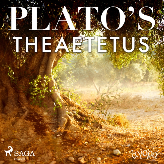 Plato’s Theaetetus (lydbog) af – Plato