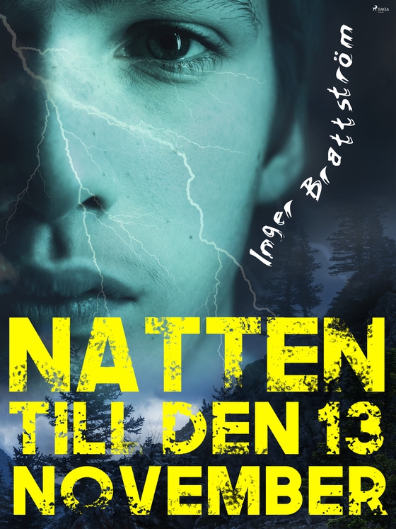 Natten till den 13 november