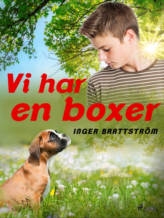 Vi har en boxer (e-bog) af Inger Brattström