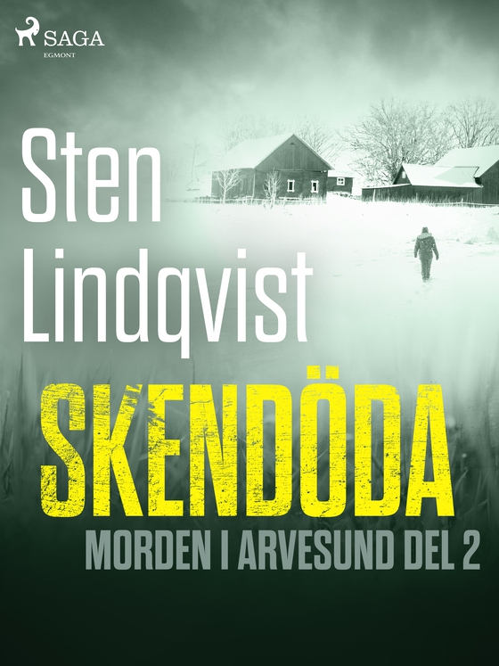 Skendöda (e-bog) af Sten Lindqvist