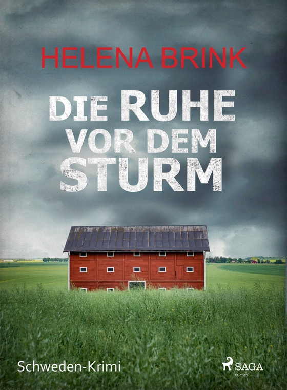 Die Ruhe vor dem Sturm - Schweden-Krimi (e-bog) af Helena Brink