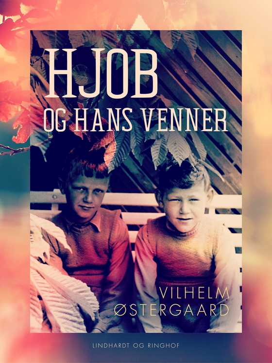 Hjob og hans venner