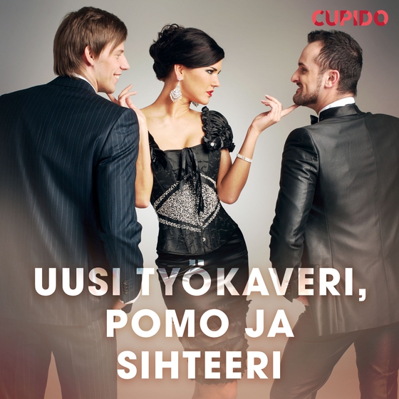 Uusi työkaveri, pomo ja sihteeri (lydbog) af Cupido