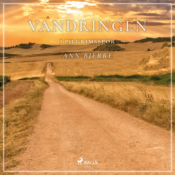 Vandringen - I pilgrimsspor (lydbog) af Ann Bjerre