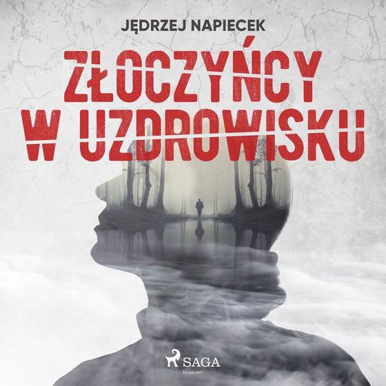 Złoczyńcy w uzdrowisku (lydbog) af Jędrzej Napiecek