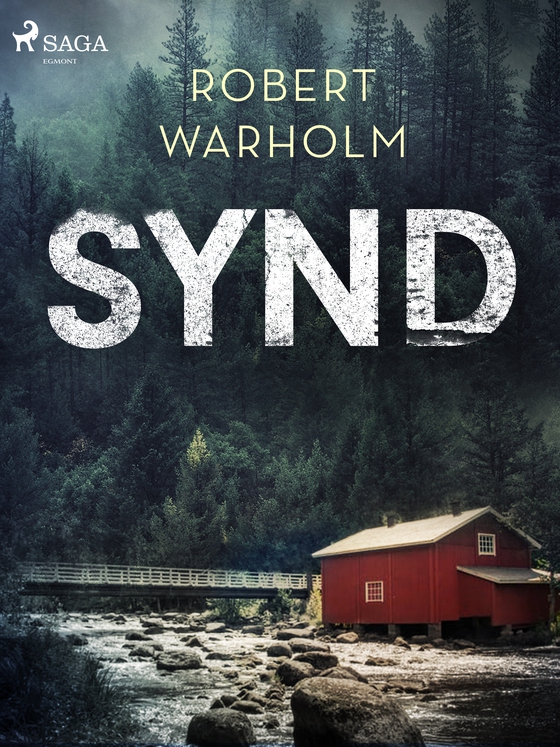 Synd (e-bog) af Robert Warholm