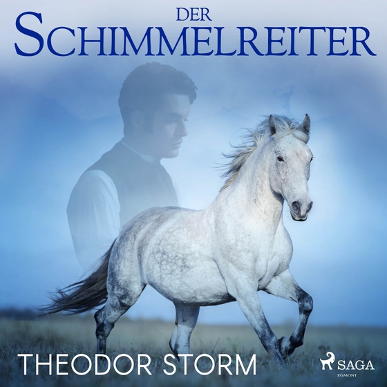 Der Schimmelreiter (lydbog) af Theodor Storm