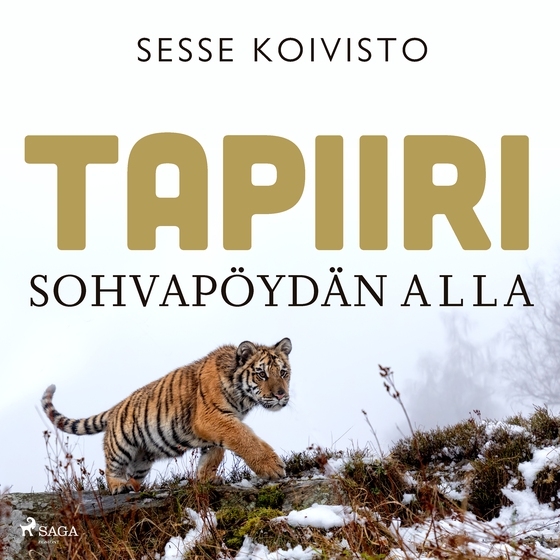 Tapiiri sohvapöydän alla