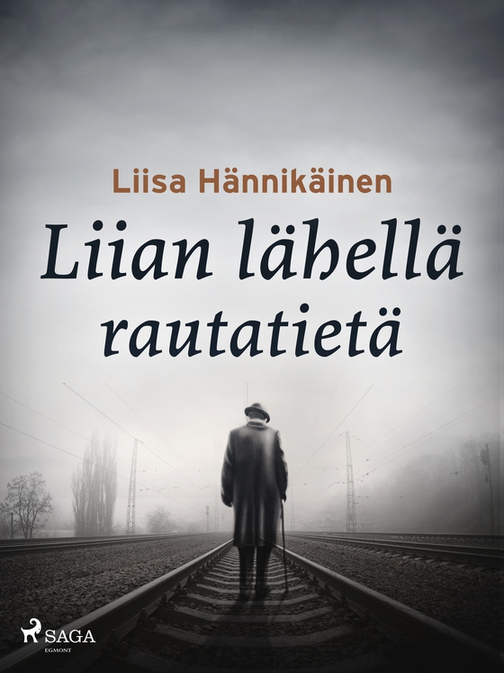 Liian lähellä rautatietä (e-bog) af Liisa Hännikäinen
