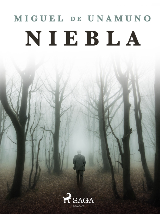 Niebla