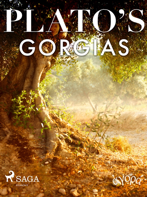 Plato’s Gorgias