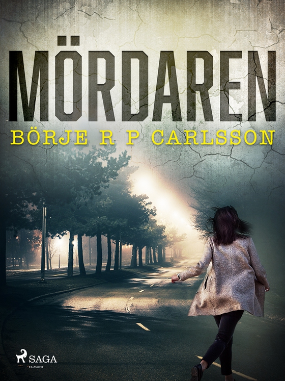 Mördaren (e-bog) af Börje R P Carlsson