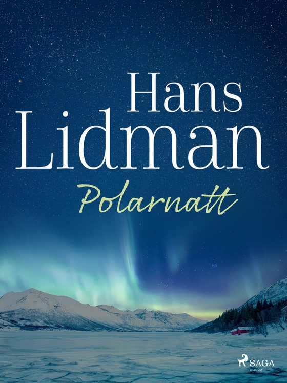 Polarnatt