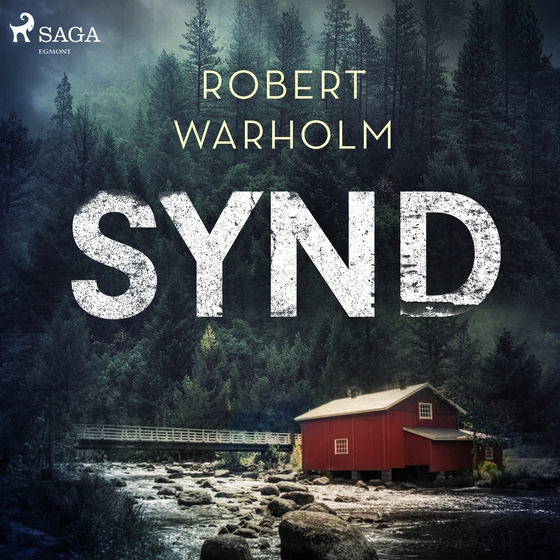 Synd (lydbog) af Robert Warholm