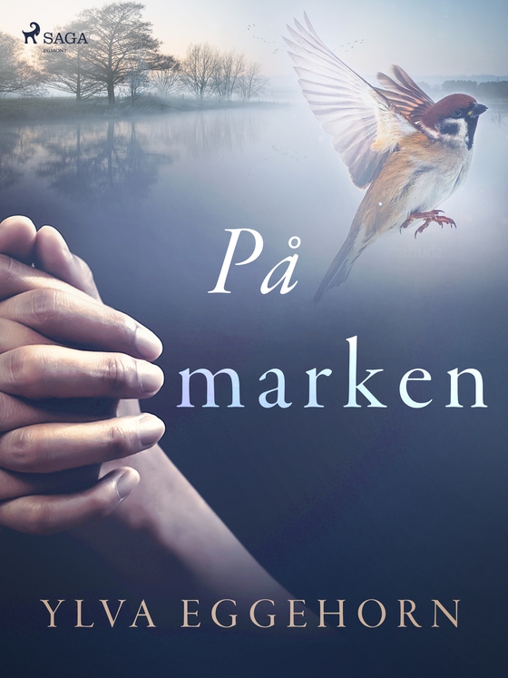 På marken