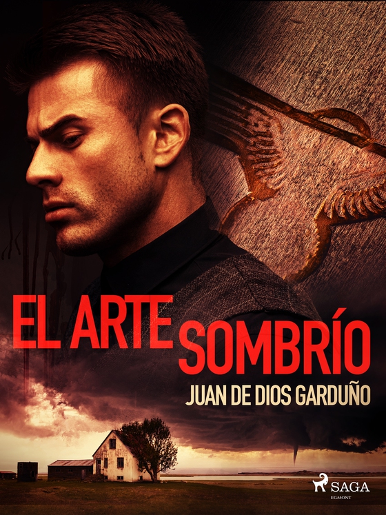 El arte sombrío (e-bog) af Juan de Dios Garduño