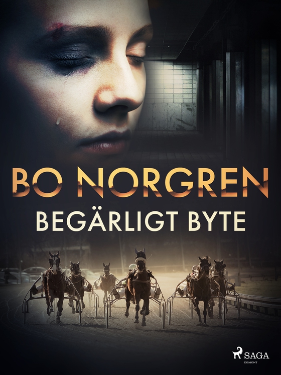 Begärligt byte (e-bog) af Bo Norgren