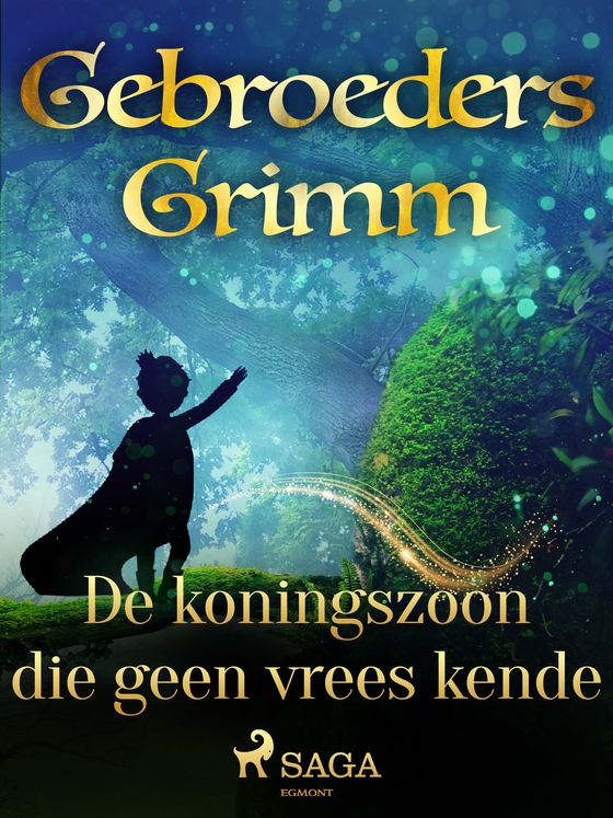 De koningszoon die geen vrees kende (e-bog) af De gebroeders Grimm