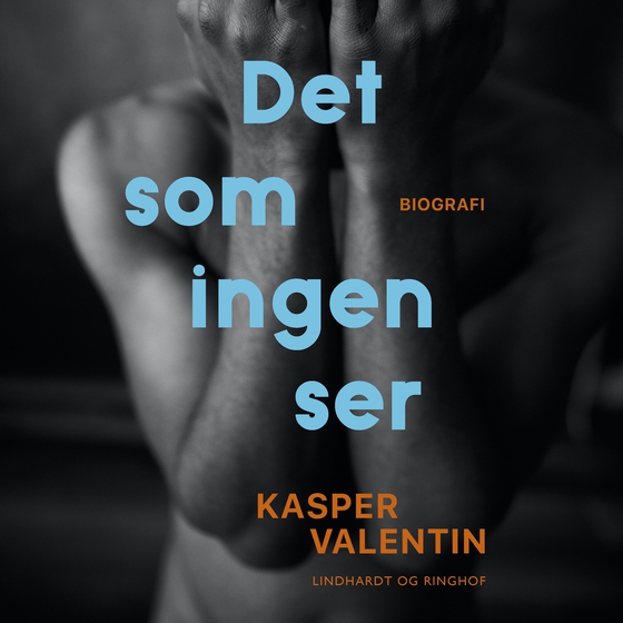 Det som ingen ser (lydbog) af Kasper Valentin