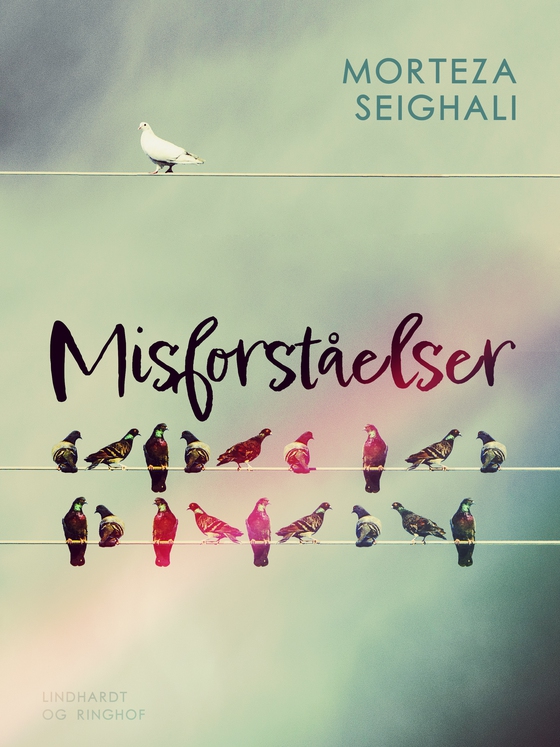 Misforståelser (e-bog) af Morteza Seighali