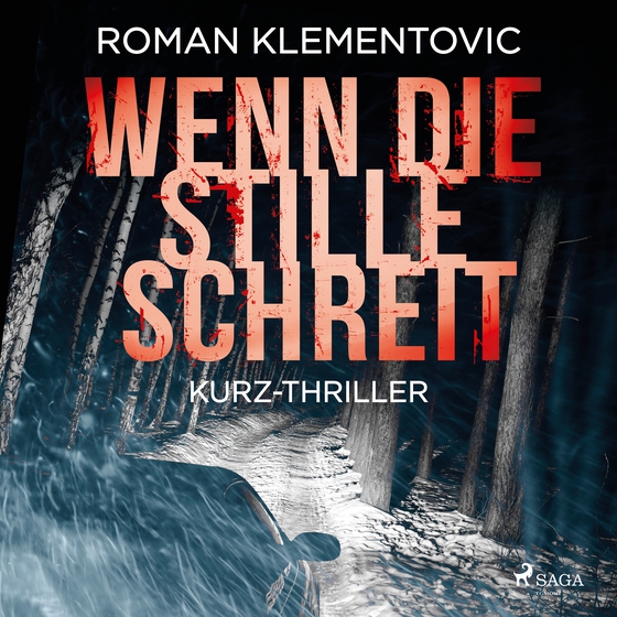 Wenn die Stille schreit (lydbog) af Roman Klementovic