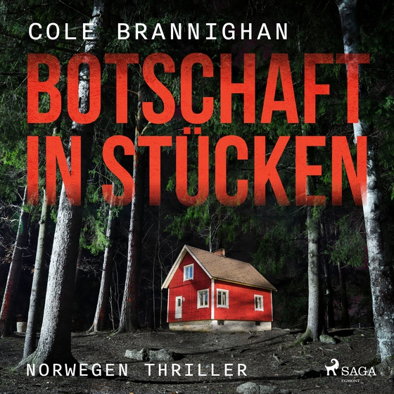 Botschaft in Stücken: Norwegen-Thriller (lydbog) af Cole Branninghan