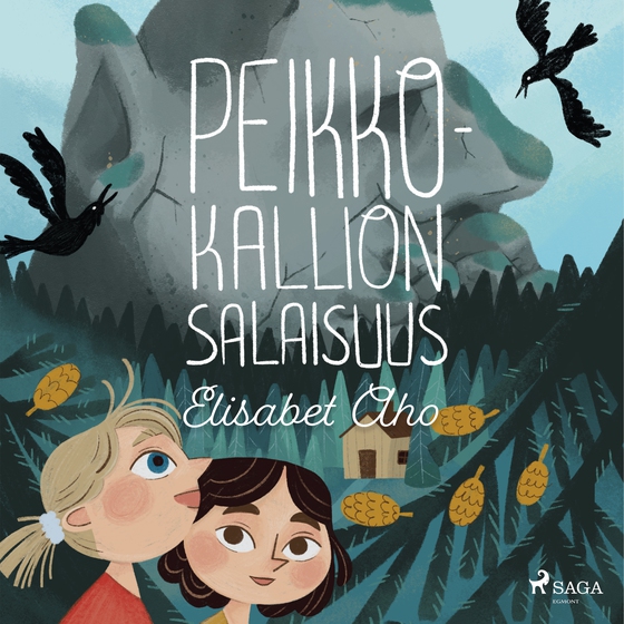 Peikkokallion salaisuus (lydbog) af Elisabet Aho