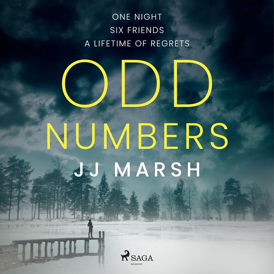 Odd Numbers (lydbog) af JJ Marsh