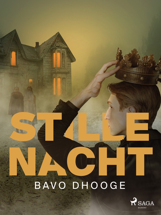 Stille Nacht (e-bog) af Bavo Dhooge