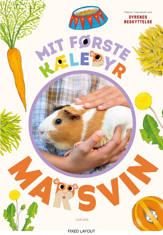 Mit første kæledyr - marsvin