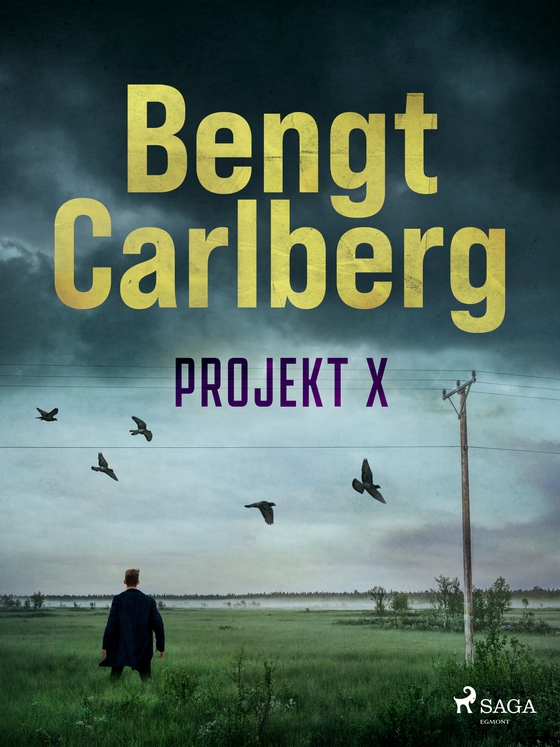 Projekt X (e-bog) af Bengt Carlberg