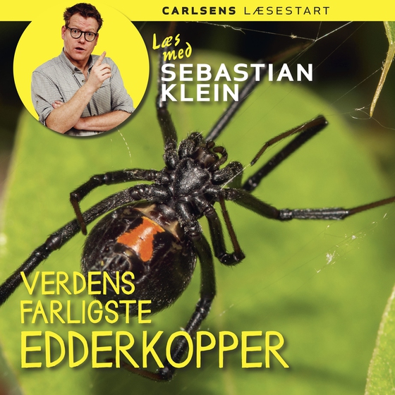 Læs med Sebastian Klein 19 - Verdens farligste edderkopper