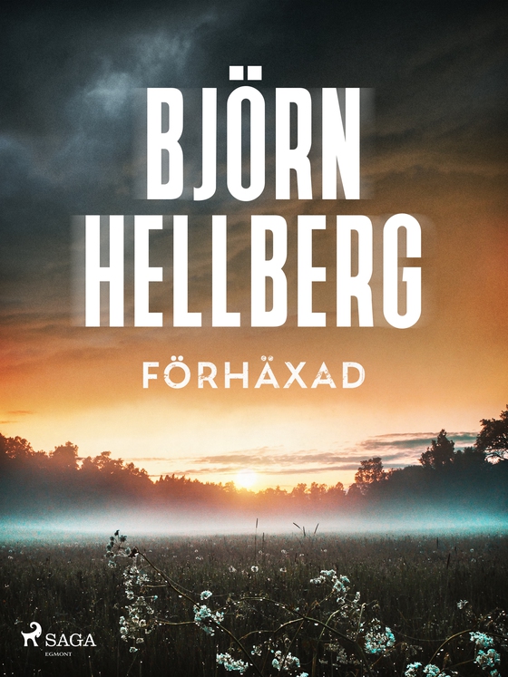 Förhäxad (e-bog) af Björn Hellberg