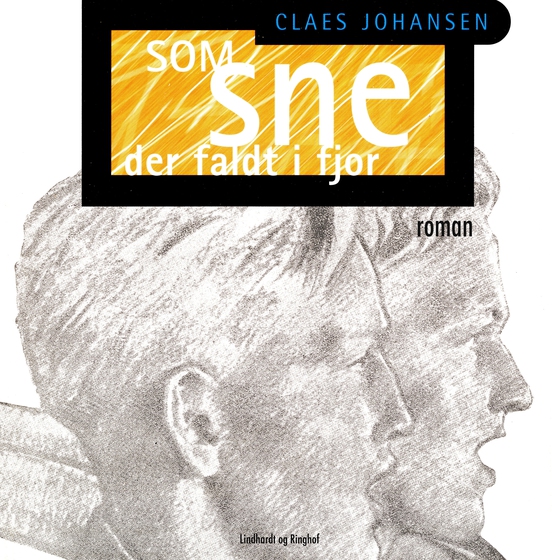 Som sne der faldt i fjor (lydbog) af Claes Johansen