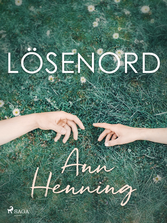 Lösenord (e-bog) af Ann Henning