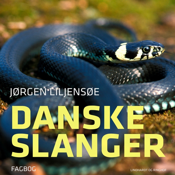 Danske slanger (lydbog) af Jørgen Liljensøe