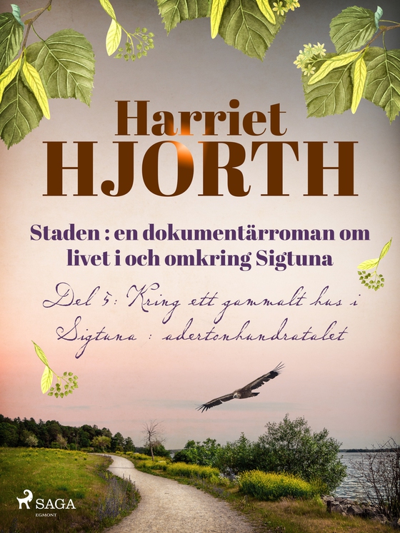 Staden : en dokumentärroman om livet i och omkring Sigtuna (e-bog) af Harriet Hjorth
