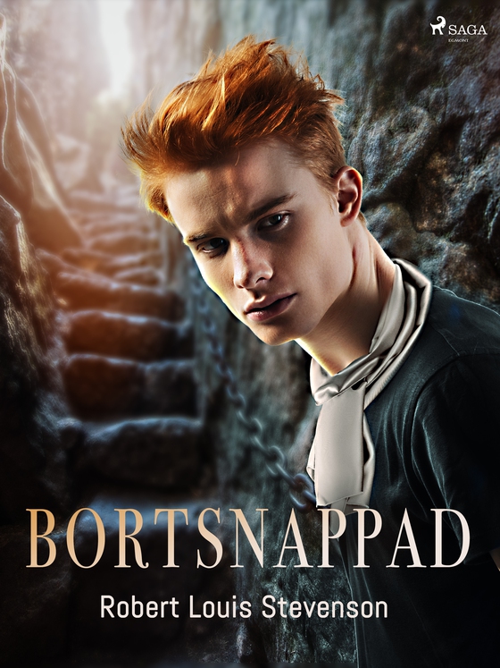 Bortsnappad (e-bog) af R. L. Stevenson