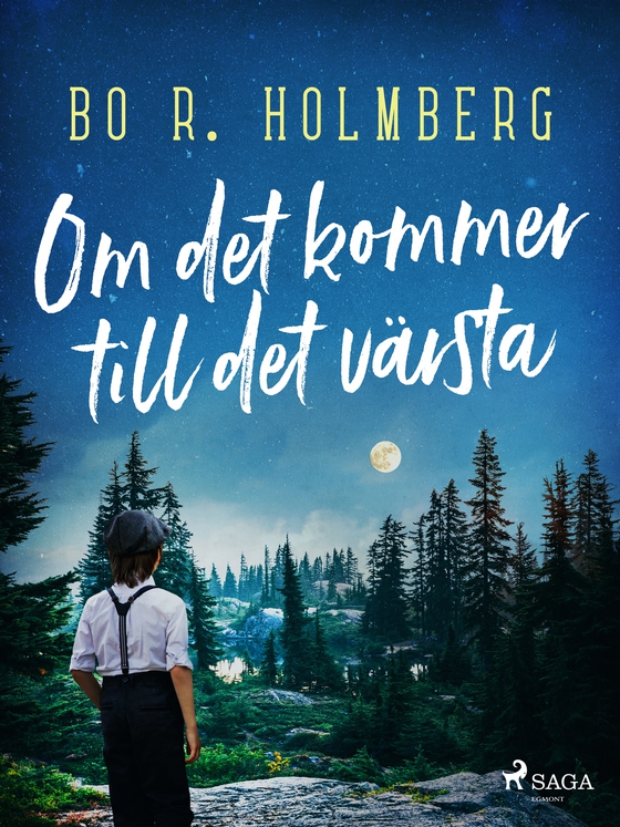 Om det kommer till det värsta (e-bog) af Bo R. Holmberg