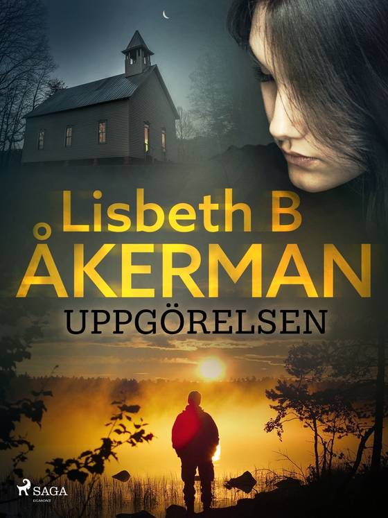 Uppgörelsen (e-bog) af Lisbeth B Åkerman