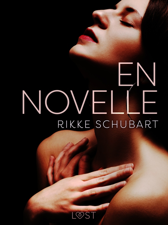 En novelle – erotik (e-bog) af Rikke Schubart