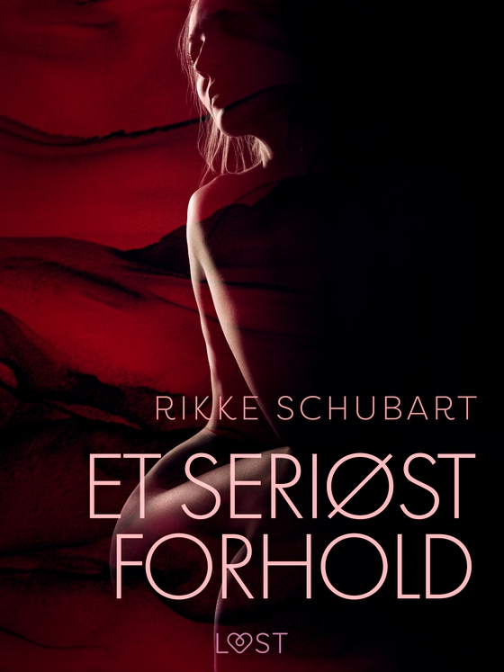 Et seriøst forhold – erotisk novelle (e-bog) af Rikke Schubart