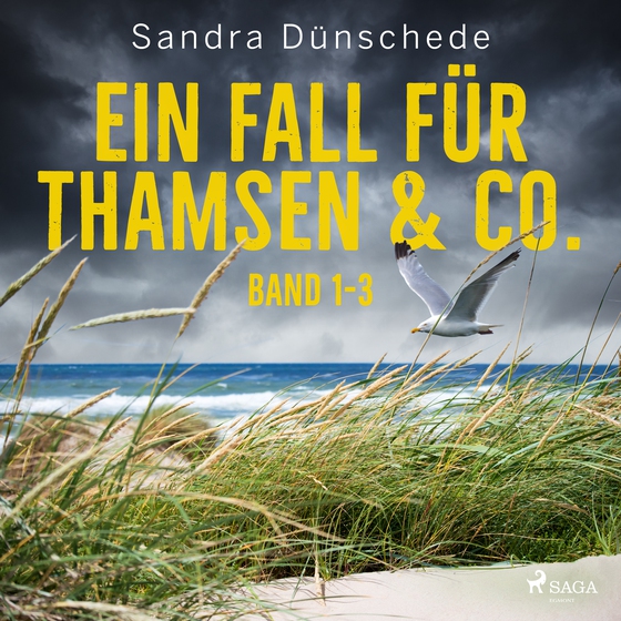 Ein Fall für Thamsen & Co. - Band 1-3