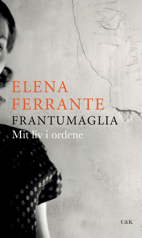 Frantumaglia - Mit liv i ordene (e-bog) af Elena Ferrante