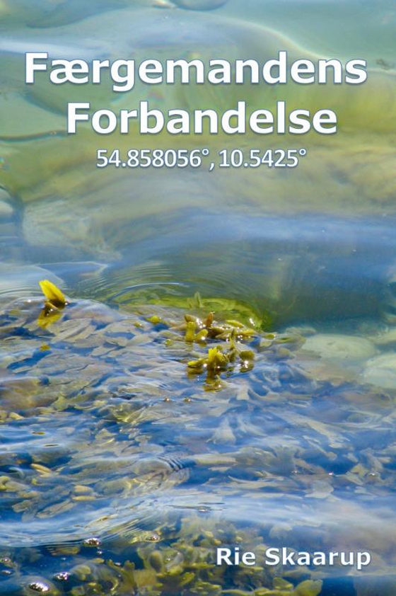 Færgemandens forbandelse (e-bog) af Rie Skaarup