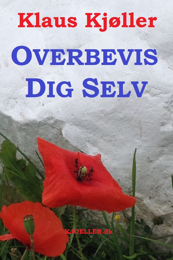 Overbevis dig selv