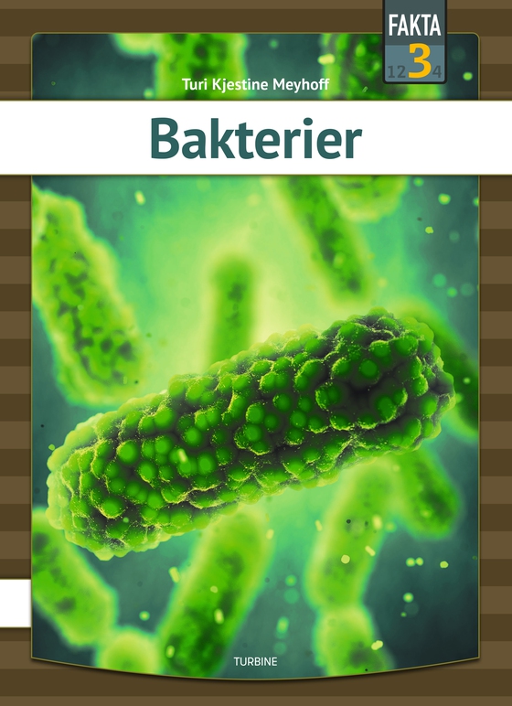 Bakterier