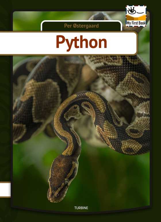 Python