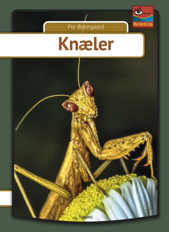 Knæler